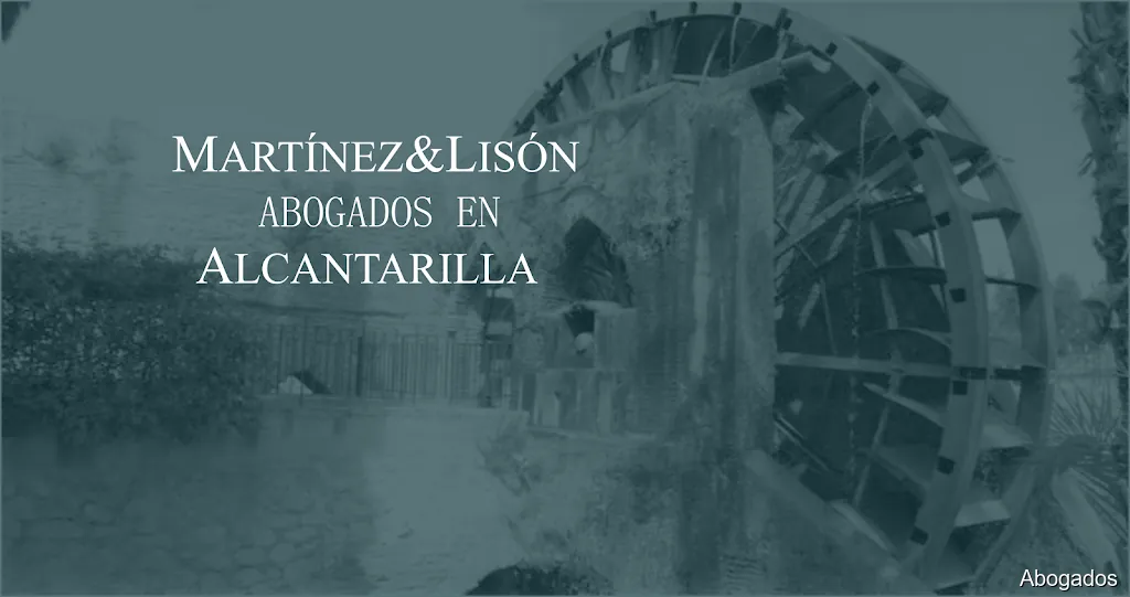 Martínez y Lisón ABOGADOS