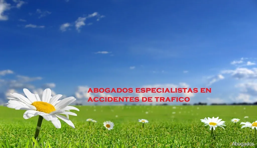 consulta trafico - abogados